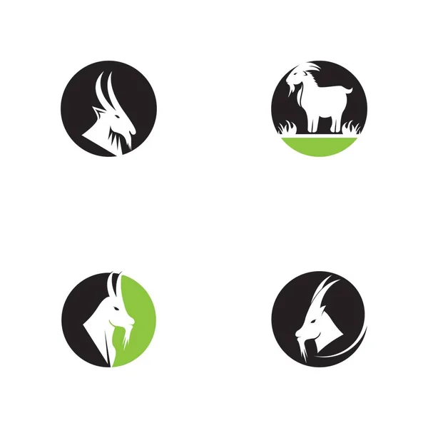 Ziege Logo Vektor Vorlage Illustration — Stockvektor