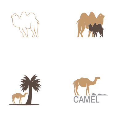 Deve simgesi vektör şablonu çizimi