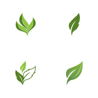 Doğa yaprağı simgesi ve sembol vektörü