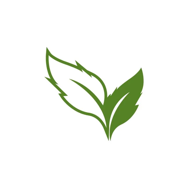 自然葉のアイコンとシンボルテンプレートベクトル — ストックベクタ