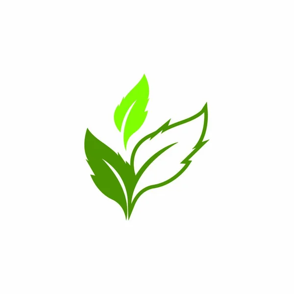 Natur Blatt Symbol Und Symbol Vorlagenvektor — Stockvektor