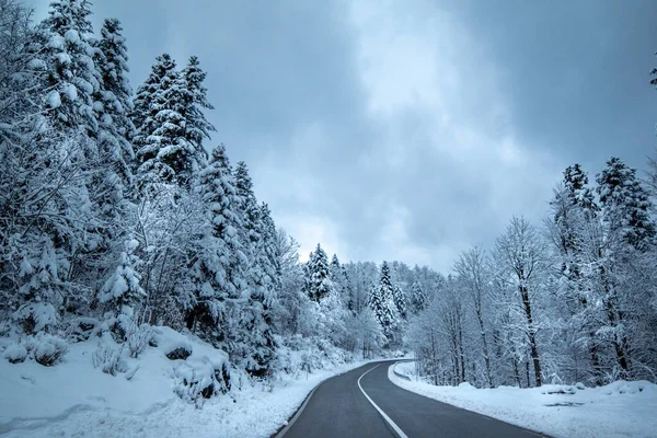 Vue Paysage Route Asphaltée Entourée Forêt Recouverte Neige Fraîche Lumière Images De Stock Libres De Droits