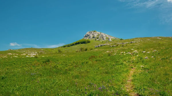 Landschap Uitzicht Bergen Groene Grasweide Wandelpad Postak Peek Lika Kroatië — Stockfoto