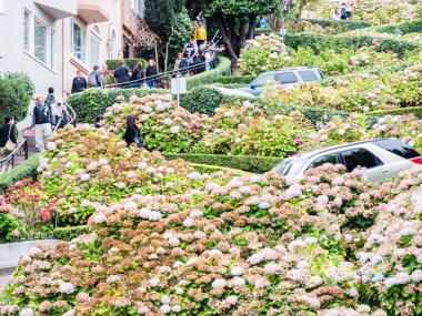 San Francisco, Abd - 16 Eylül: 1 Eylül'de Lombard sokak