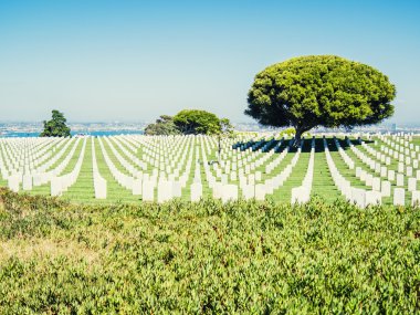 San Diego, Amerika Birleşik Devletleri - 19 Eylül: Fort Rosecrans mezarlığı Septem üzerinde