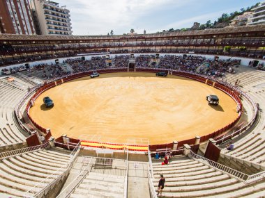 Malaga, İspanya - 12 Ağustos: 12 Ağustos 2015'te Malag'da boğa güreşi