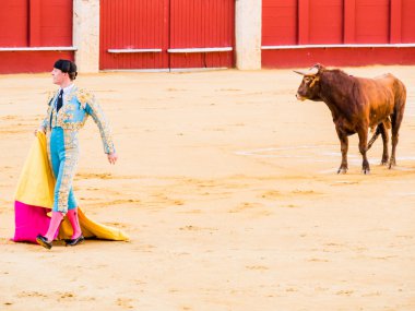 Malaga, İspanya - 12 Ağustos: 12 Ağustos 2015'te Malag'da boğa güreşi