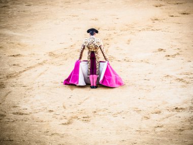 Malaga, İspanya - 16 Ağustos: boğa güreşi üzerinde 16 Ağustos 2015 yılında Malag