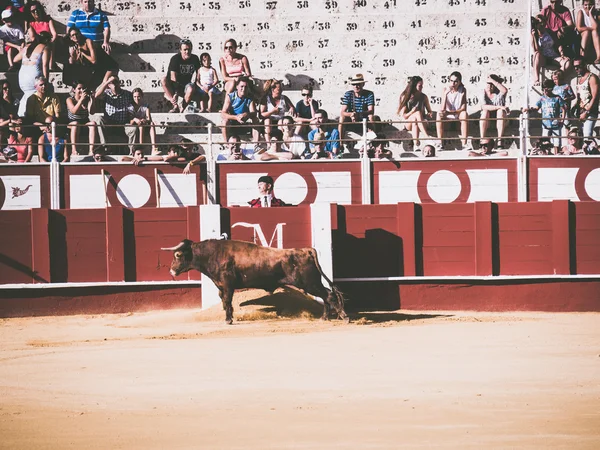 Malaga, Spanje-12 augustus: stierengevecht op 12 augustus 2015 in Malag — Stockfoto