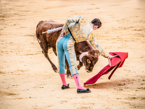 МАЛАГА, ИСПАНИЯ - 12 августа 2015 года: коррида в Малаге

