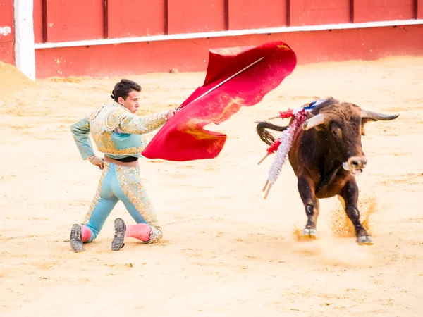 Malaga, Spanien-augusti 12: tjurfäktning på augusti 12, 2015 i Malag — Stockfoto