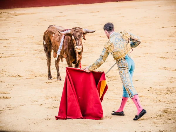 Malaga, Hiszpania-12 sierpnia: walka byka 12 sierpnia 2015 w Malag — Zdjęcie stockowe