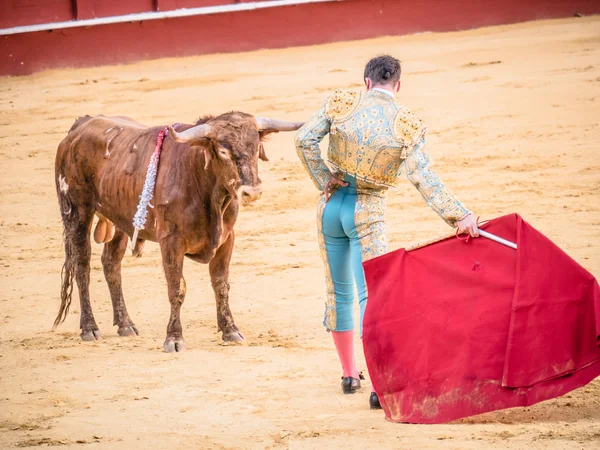Malaga, Hiszpania-12 sierpnia: walka byka 12 sierpnia 2015 w Malag — Zdjęcie stockowe