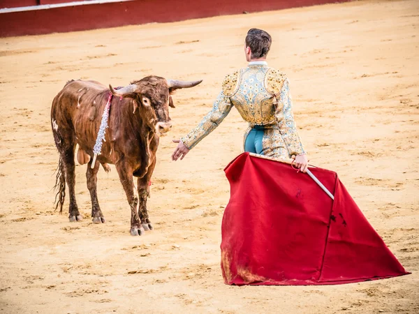 Malaga, Španělsko-12. srpna: býk zápas 12. srpna 2015 v Malagu — Stock fotografie