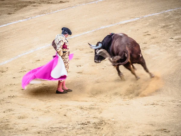 Malaga, Spanien - 16 augusti: tjurfäktning på augusti 16, 2015 i Malaga — Stockfoto