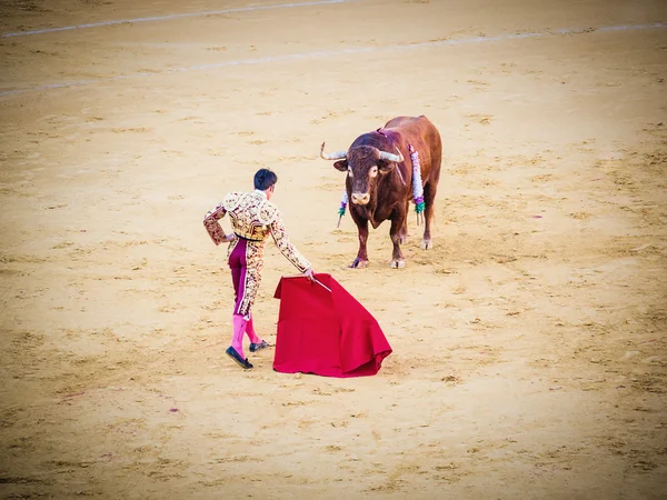 Malaga, Hiszpania - 16 sierpnia: walka byków na Sierpień 16, 2015 w Malag — Zdjęcie stockowe