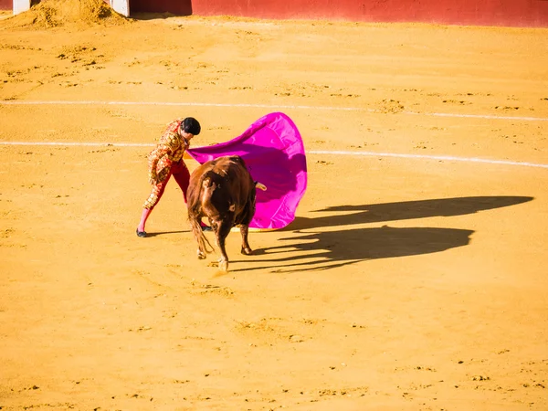 Malaga, Hiszpania - 16 sierpnia: walka byków na Sierpień 16, 2015 w Malag — Zdjęcie stockowe