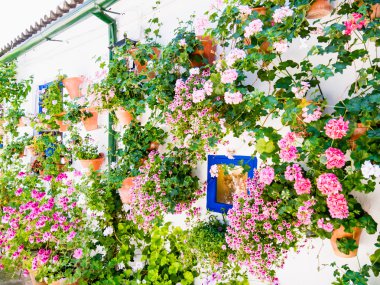 İspanya Cordoba