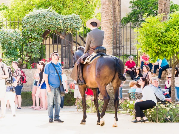 Cordoba i Spanien — Stockfoto