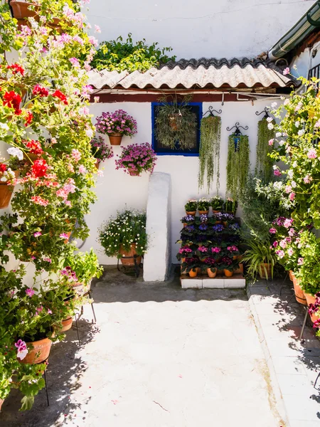 Cordoba in Spanien — Stockfoto