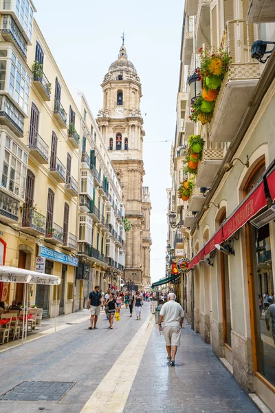 Uitzicht op Malaga kathedraal ingang met stappen versierd met planten — Stockfoto