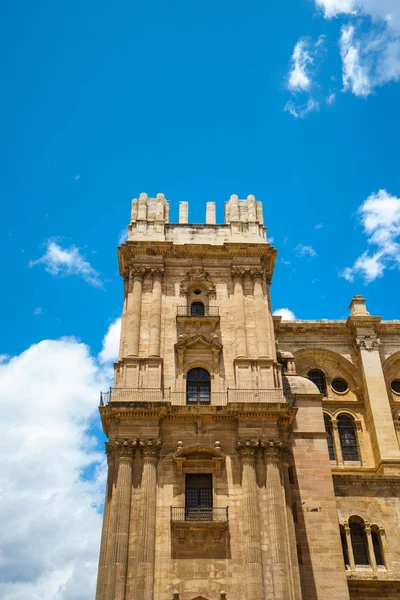 Uitzicht op Malaga kathedraal ingang met stappen versierd met planten — Stockfoto