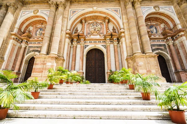 Uitzicht op Malaga kathedraal ingang met stappen versierd met planten — Stockfoto