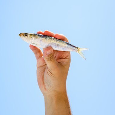 Birinin elinde küçük balık