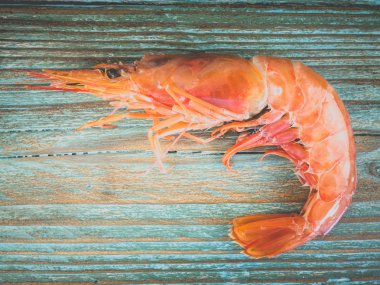 Taze kral karidesleri