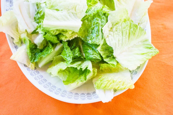 Salada verde fresca em prato — Fotografia de Stock