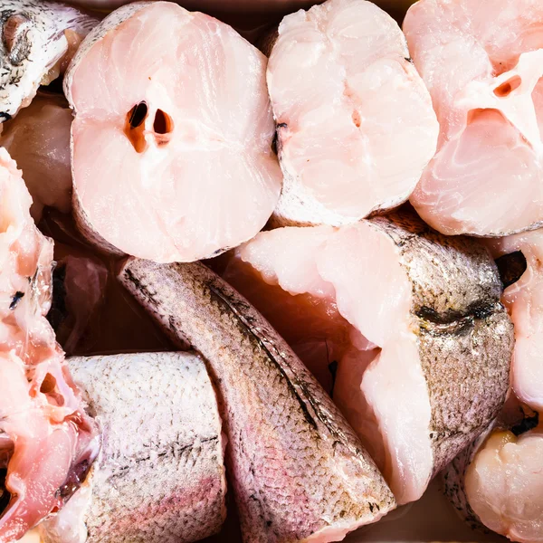 Close-up de frutos do mar crus — Fotografia de Stock