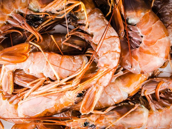 Crevettes fraîches — Photo