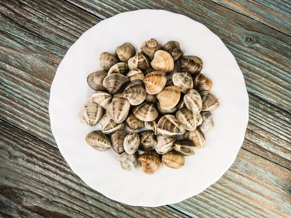 Clams on a white plate — Stock Photo, Image