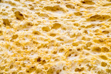 Dikdörtgen mini tostları kapatın. 