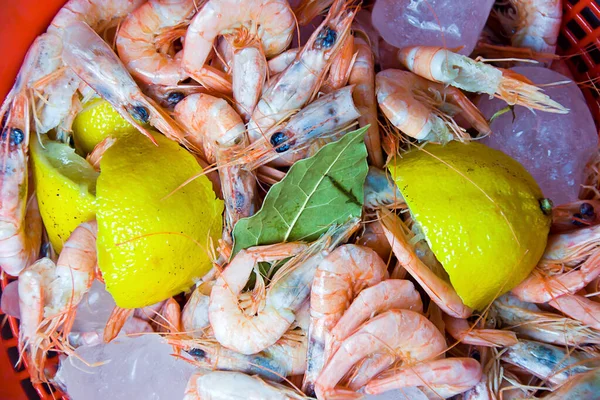 Schalentiere Auf Einem Markt — Stockfoto