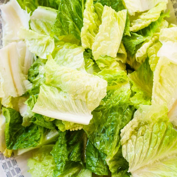 Groene Salade Close — Stockfoto