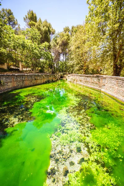 Vista Rio Florescente Brilhante Parque Ensolarado Alfacar Granada Espanha — Fotografia de Stock