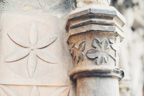 Gotische Kathedraal Van Leon Castilla Leon Spanje — Stockfoto