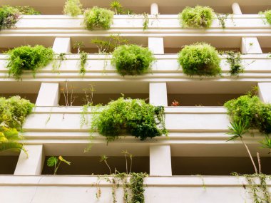 İspanya, Malaga 'da tencereli balkon