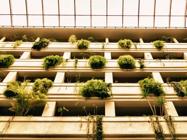 Balcony Pots Malaga Spain — Stock Photo, Image