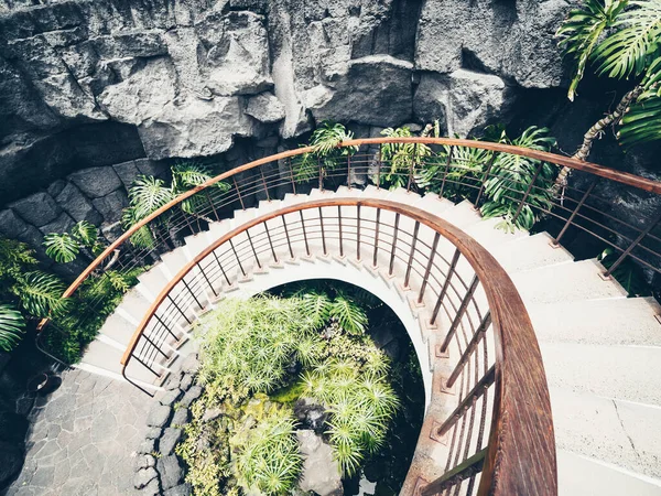Spiral Staircase Green Plants — Stock Photo, Image