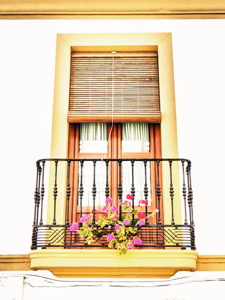 Balcony Pots Malaga Spain — Stock Photo, Image
