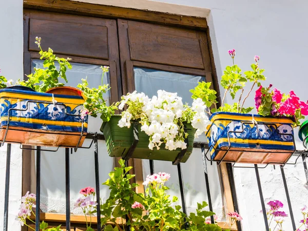 Flowers Flowerpot Walls Streets Cordoba Spain — Stock Photo, Image