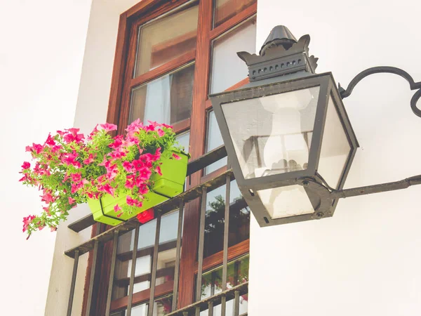 Flowers Flowerpot Walls Streets Cordoba Spain — Stock Photo, Image