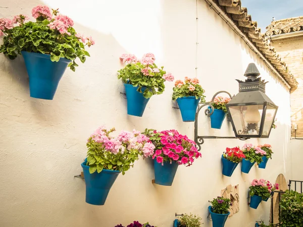 Flores Vaso Nas Paredes Nas Ruas Córdoba Espanha — Fotografia de Stock