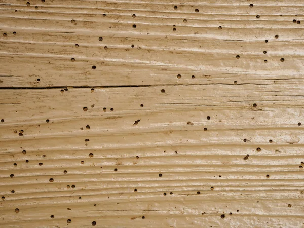 Old Wooden Door Termites Stock Photo