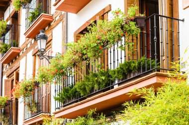 Ezcaray, La Rioja, İspanya - 13.11.2016: Saksıda çiçekler olan eski taş sokak.