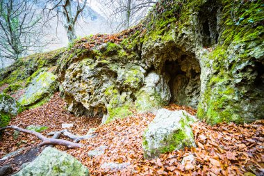 İspanya 'nın Navarra kentindeki Urederra nehrinde sonbahar manzarası. Navarre 'da