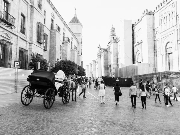 Cordoba Ισπανια Μαΐου Μεταφορά Αλόγων Στις Μαΐου 2015 Στην Κόρδοβα — Φωτογραφία Αρχείου