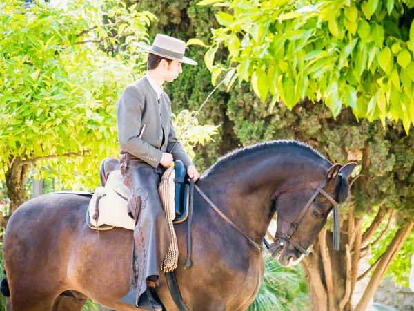 Cordoba Spain May Traditional Andalusian Horseman Riding Park Festival Patios — Stock Photo, Image